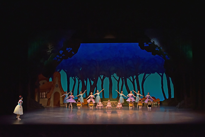 2024年6月の発表会 撮影:テス大阪