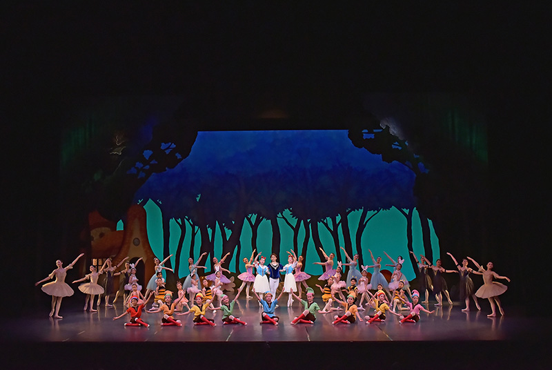 2024年6月の発表会 撮影:テス大阪